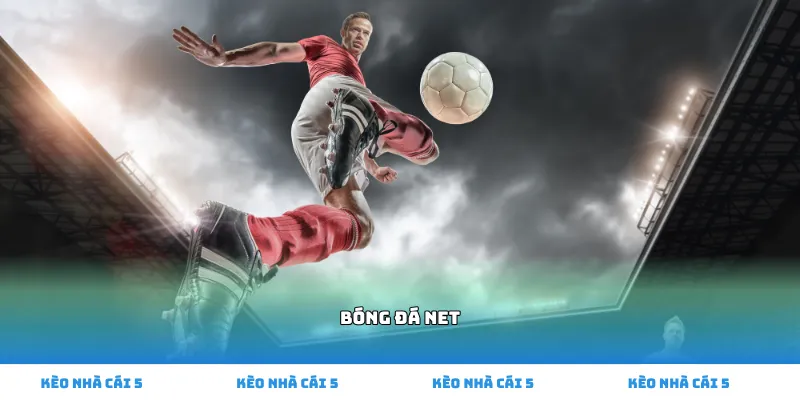 bóng đá net