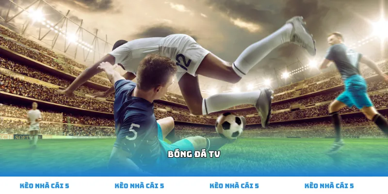 bóng đá tv