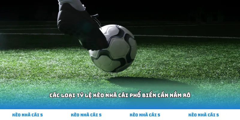 Các loại tỷ lệ kèo nhà cái phổ biến cần nắm rõ