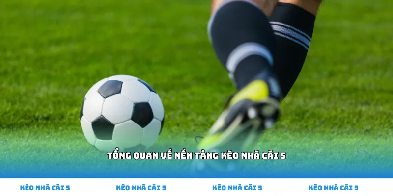 Tổng quan về nền tảng kèo nhà cái 5