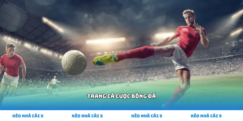 Trang cá cược bóng đá